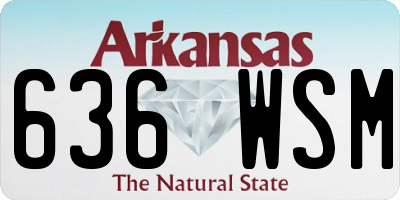 AR license plate 636WSM