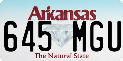 AR license plate 645MGU