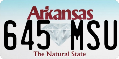 AR license plate 645MSU