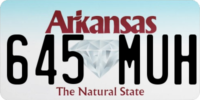 AR license plate 645MUH
