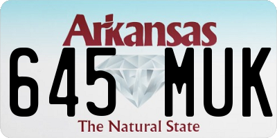 AR license plate 645MUK