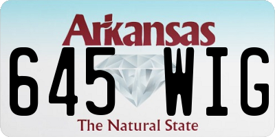AR license plate 645WIG