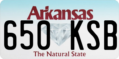 AR license plate 650KSB