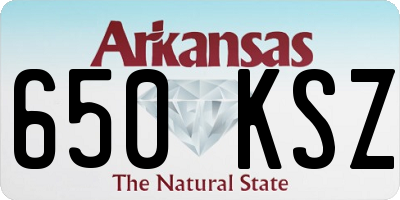 AR license plate 650KSZ