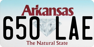 AR license plate 650LAE