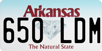 AR license plate 650LDM