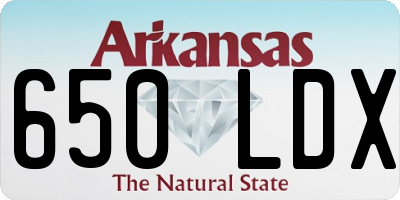AR license plate 650LDX