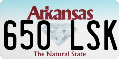 AR license plate 650LSK