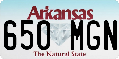 AR license plate 650MGN
