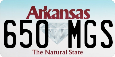 AR license plate 650MGS
