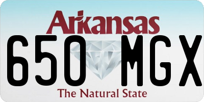 AR license plate 650MGX