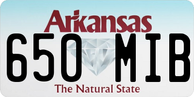 AR license plate 650MIB