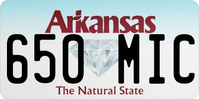 AR license plate 650MIC