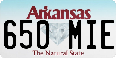 AR license plate 650MIE
