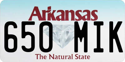 AR license plate 650MIK