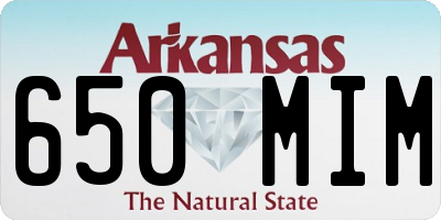 AR license plate 650MIM