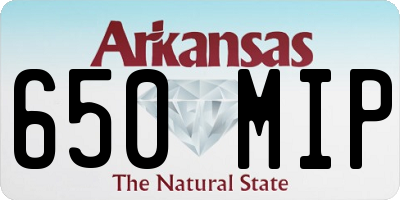 AR license plate 650MIP