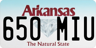 AR license plate 650MIU