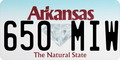 AR license plate 650MIW