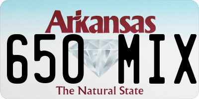AR license plate 650MIX