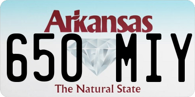 AR license plate 650MIY