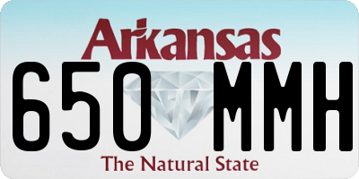 AR license plate 650MMH