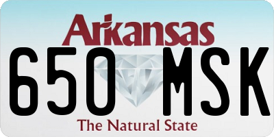 AR license plate 650MSK