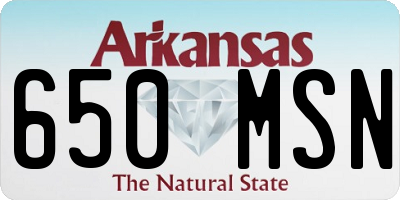 AR license plate 650MSN