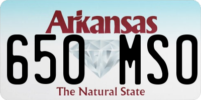 AR license plate 650MSO