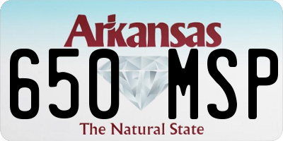 AR license plate 650MSP