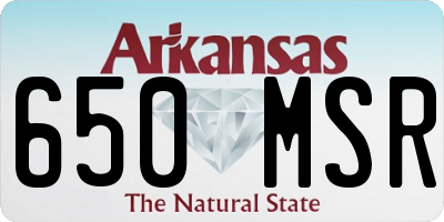 AR license plate 650MSR