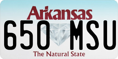 AR license plate 650MSU