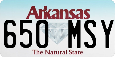AR license plate 650MSY