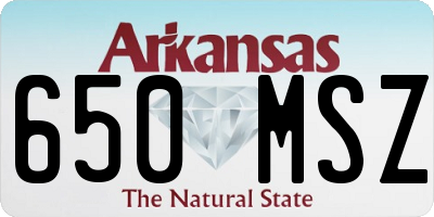 AR license plate 650MSZ