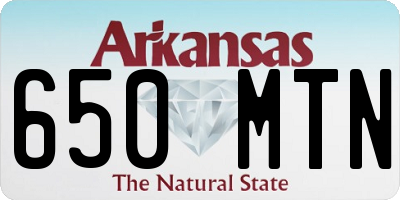 AR license plate 650MTN