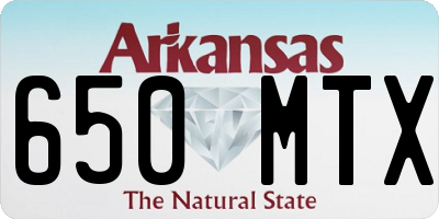 AR license plate 650MTX