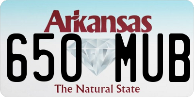 AR license plate 650MUB