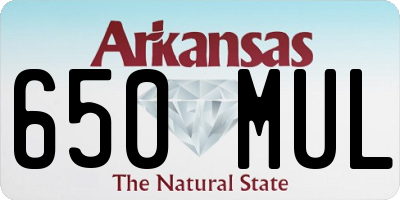 AR license plate 650MUL
