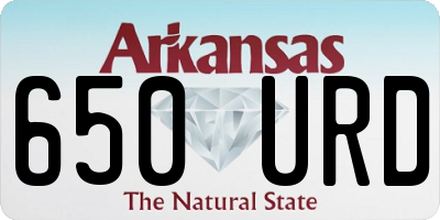 AR license plate 650URD