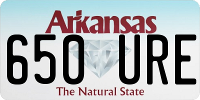 AR license plate 650URE