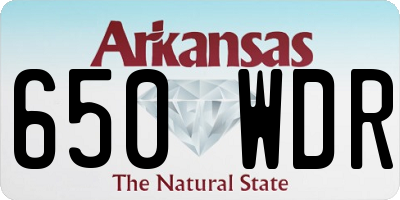 AR license plate 650WDR