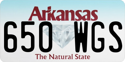AR license plate 650WGS