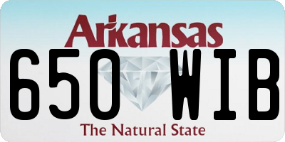 AR license plate 650WIB
