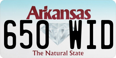 AR license plate 650WID