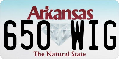 AR license plate 650WIG