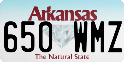 AR license plate 650WMZ