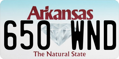 AR license plate 650WND