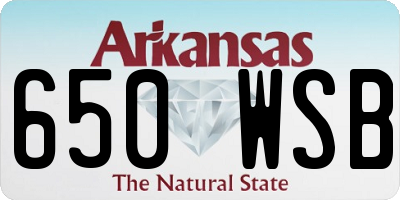AR license plate 650WSB
