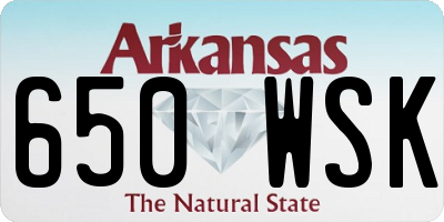 AR license plate 650WSK
