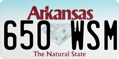 AR license plate 650WSM